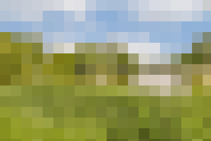 Image 20