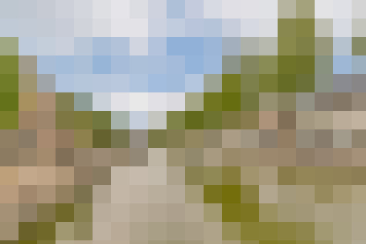 Image 18