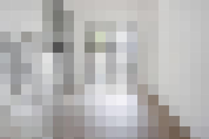 Image 18