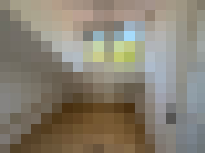 Image 13