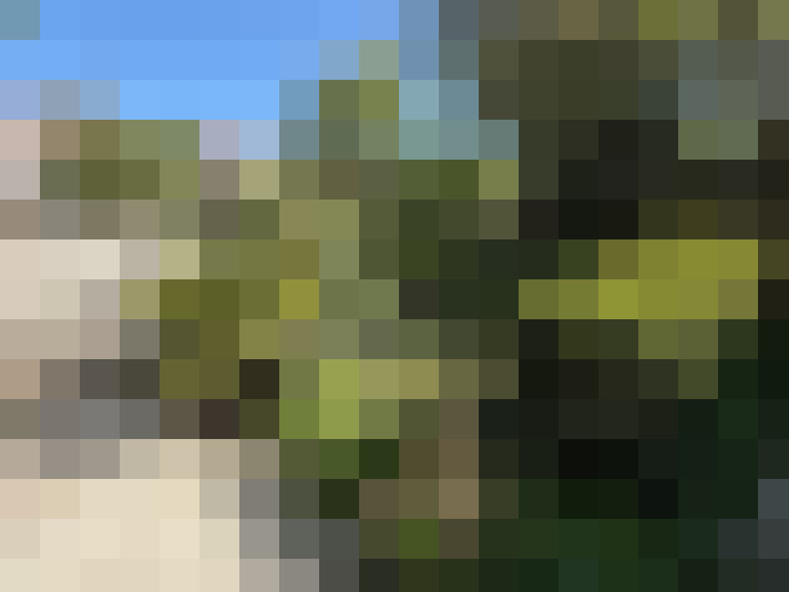 Image 32