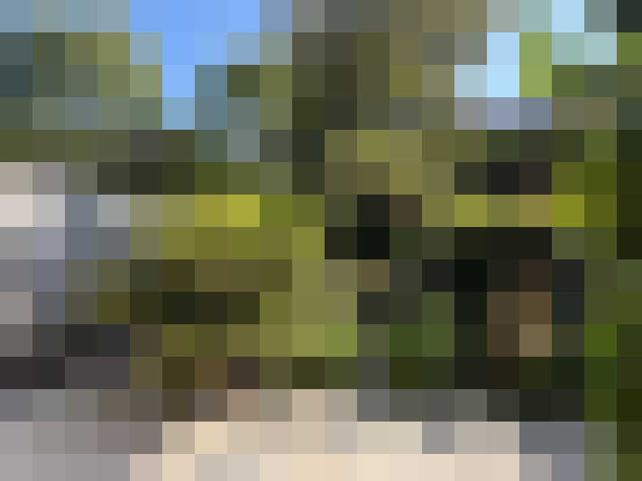 Image 33
