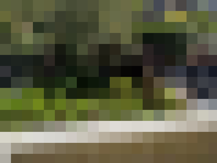 Image 34