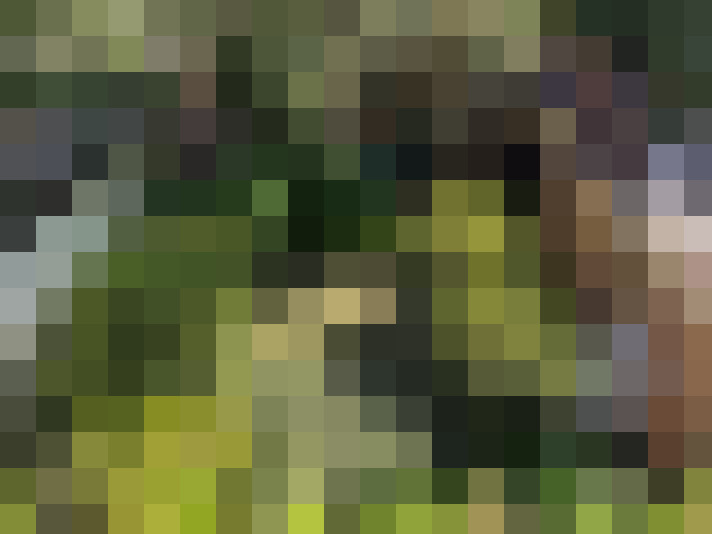 Image 35