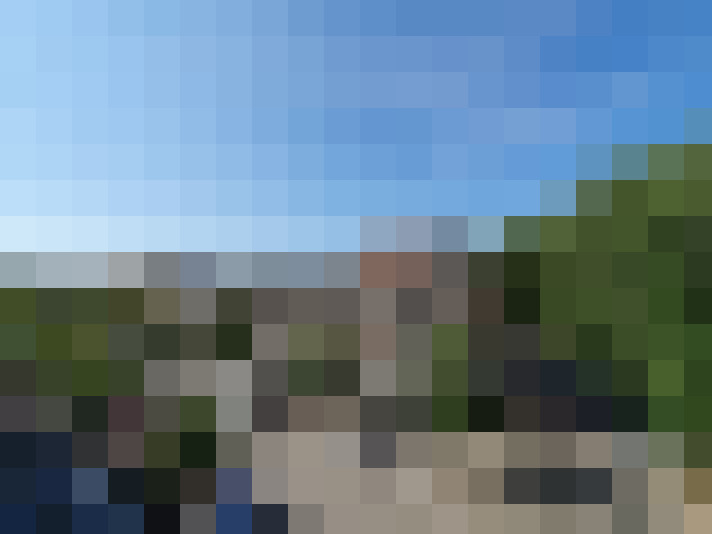Image 15