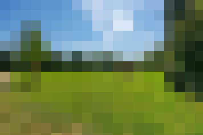 Image 37