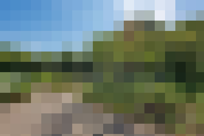 Image 35