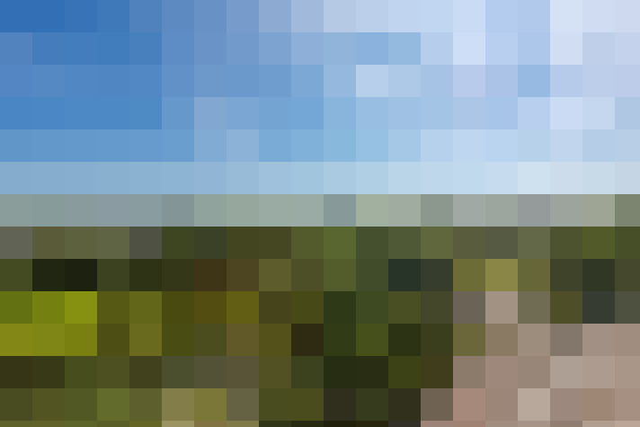 Image 34