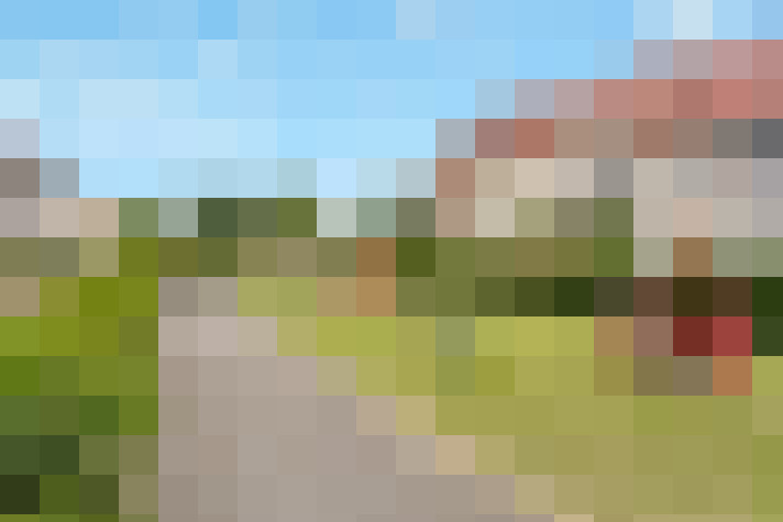 Image 33
