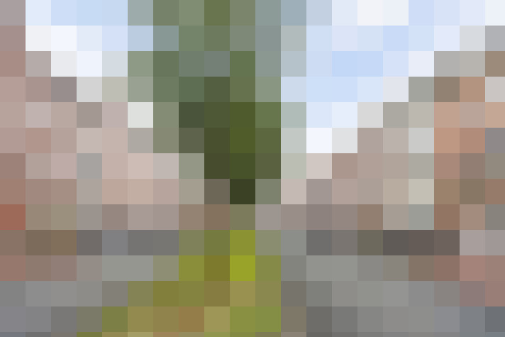 Image 26
