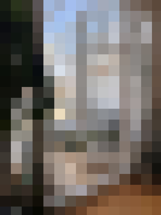 Image 14