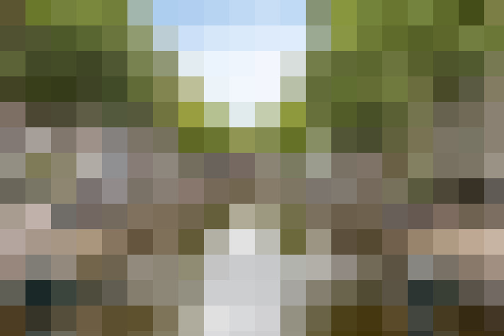 Image 22