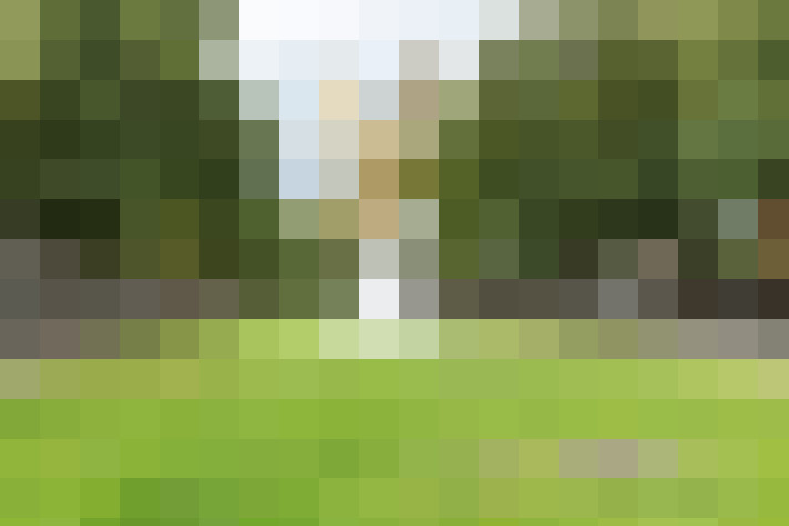 Image 56