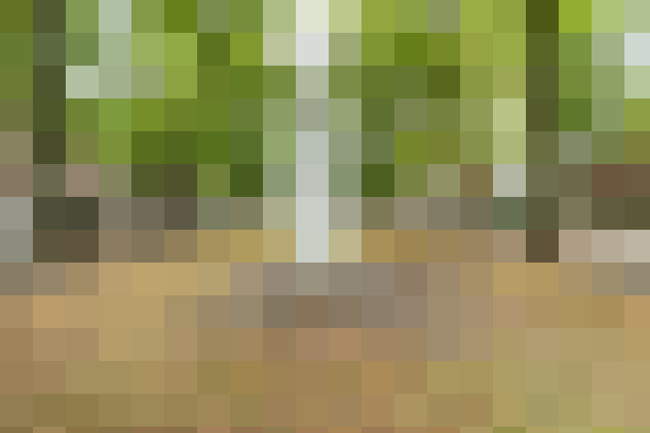 Image 58