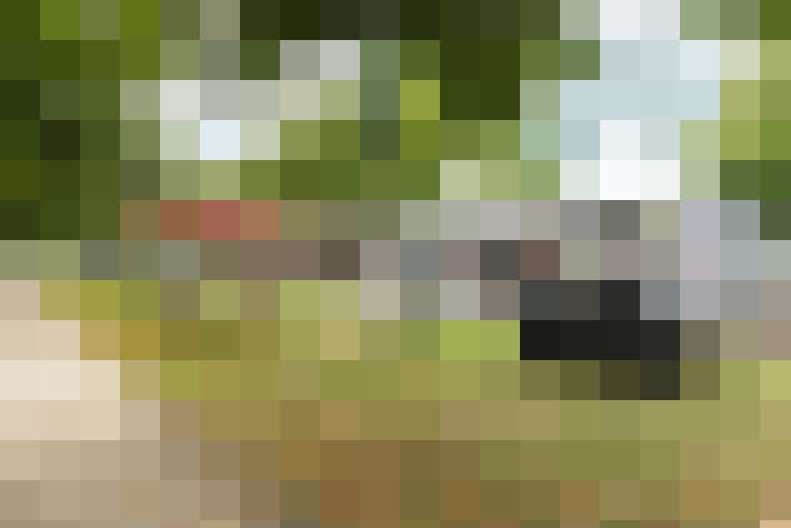 Image 57