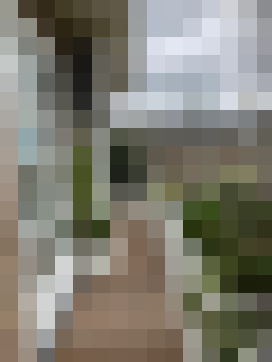 Image 41
