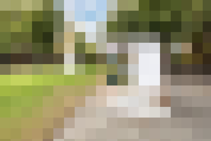 Image 59