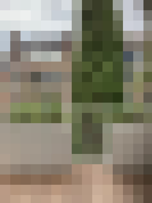Image 22