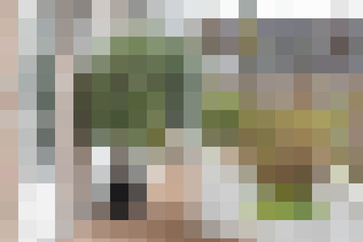 Image 23