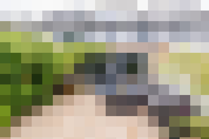 Image 32