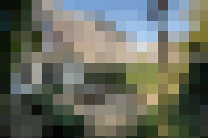 Image 40