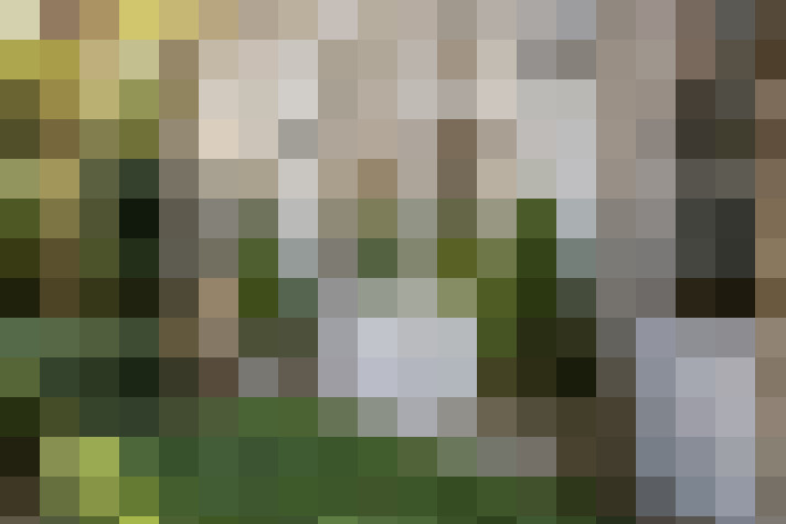 Image 39