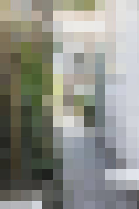 Image 34