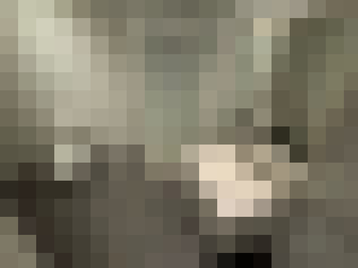  / #11