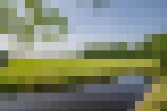 Image 50