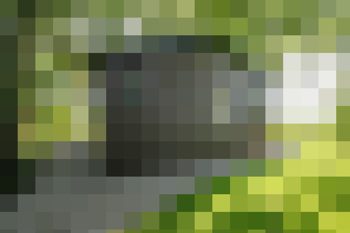 Image 38