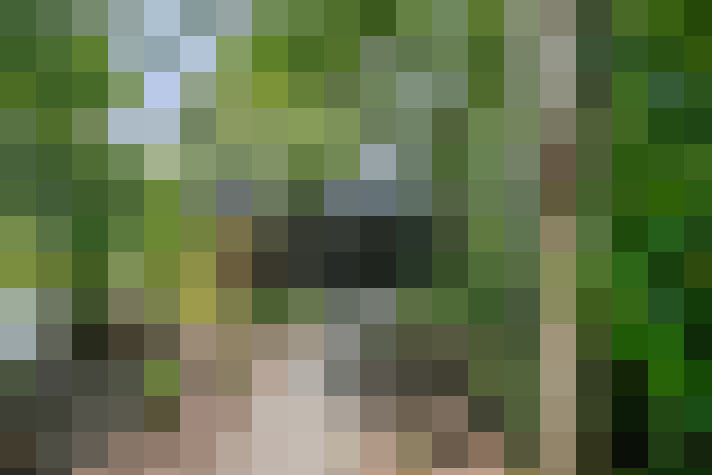 Image 45