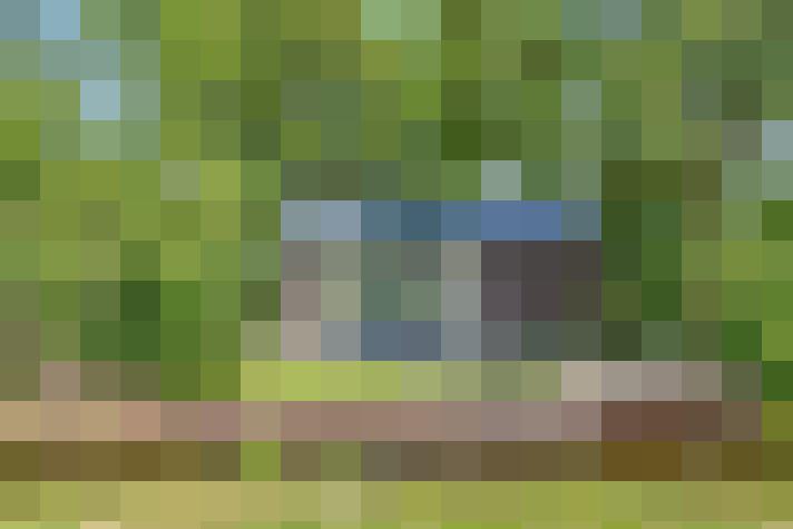 Image 31