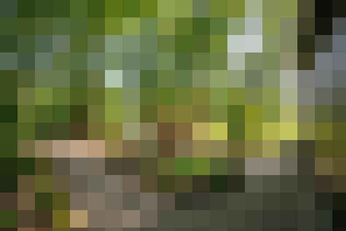 Image 41