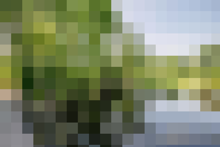 Image 53