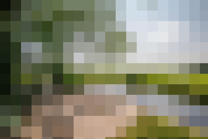 Image 48