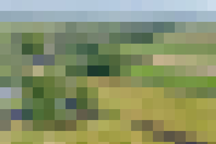 Image 55