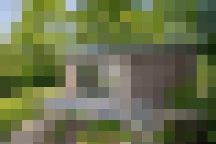 Image 17