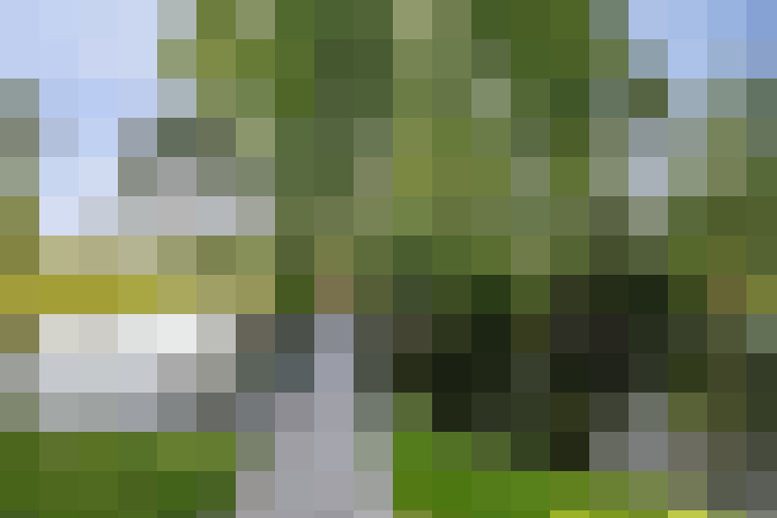 Image 51