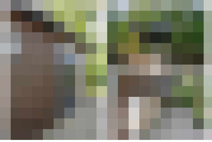 Image 39