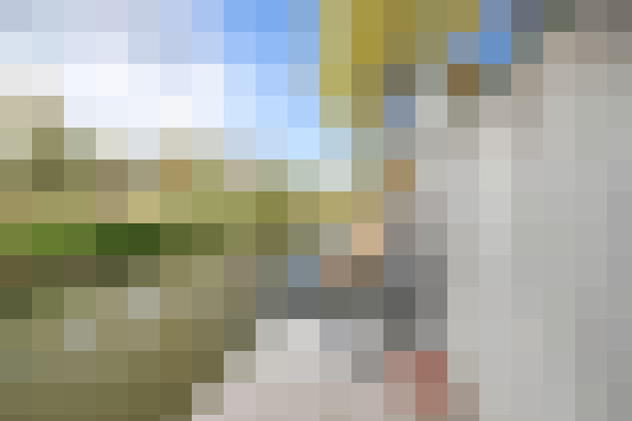 Image 44
