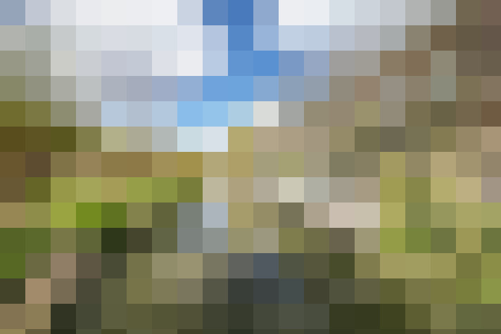 Image 52