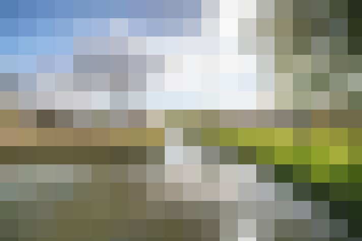 Image 51