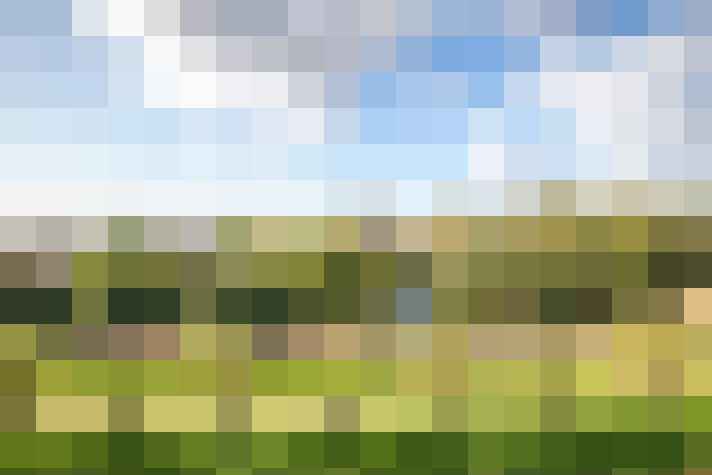Image 40