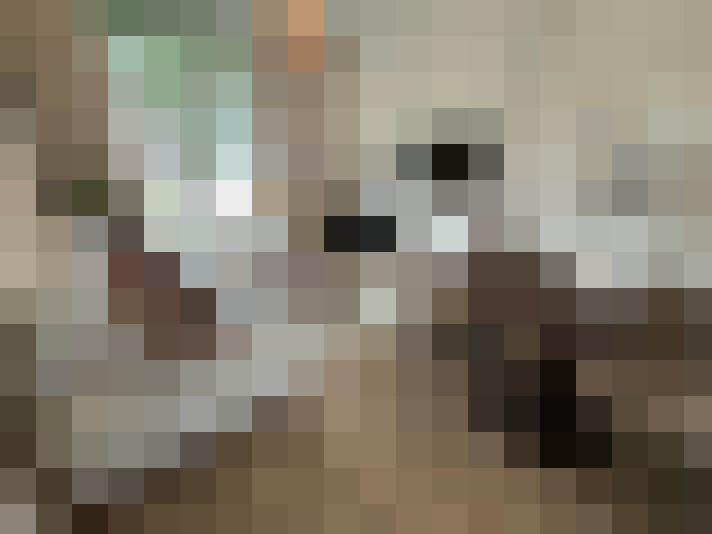 Image 18
