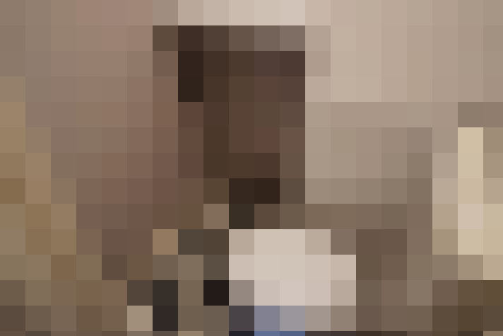  / #14