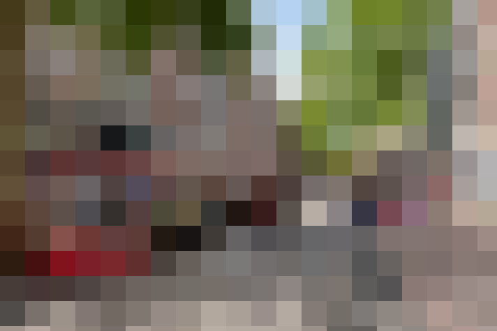 Image 37