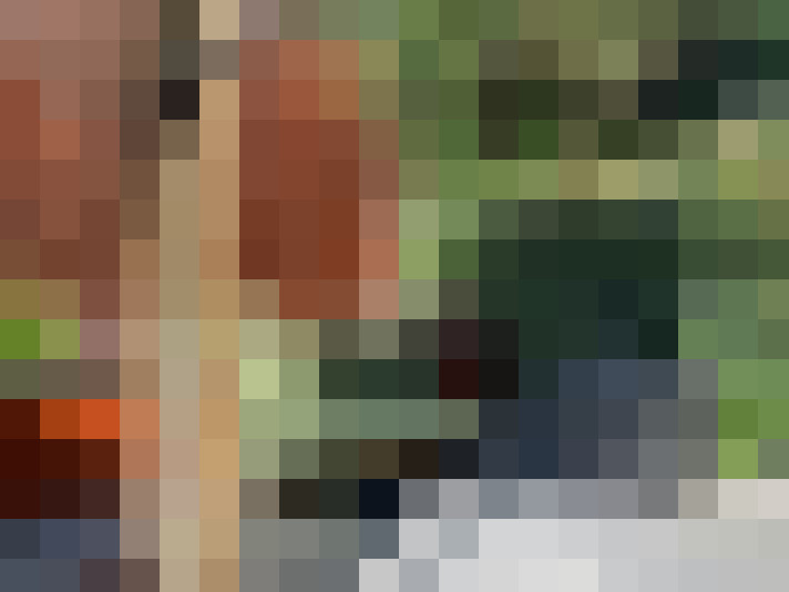 Image 30
