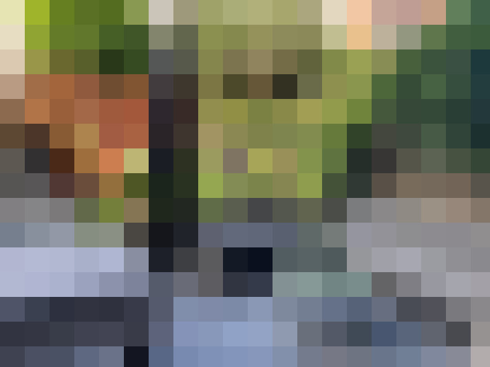Image 29