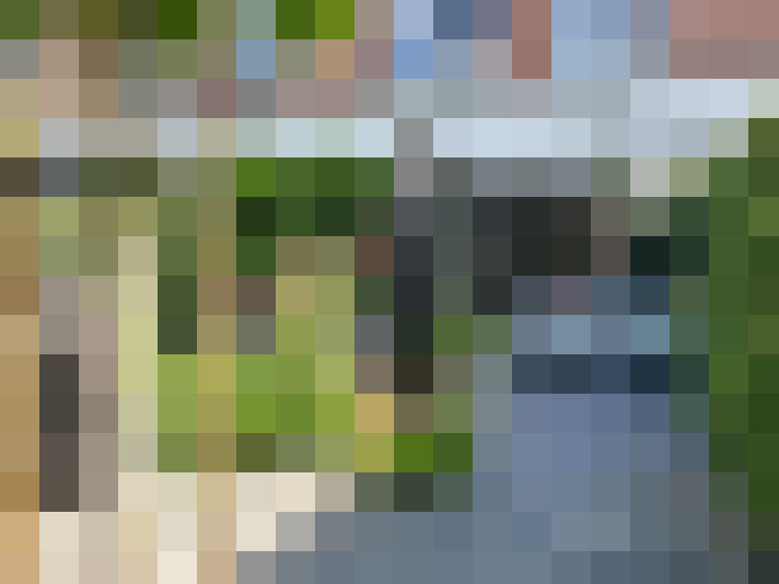 Image 31