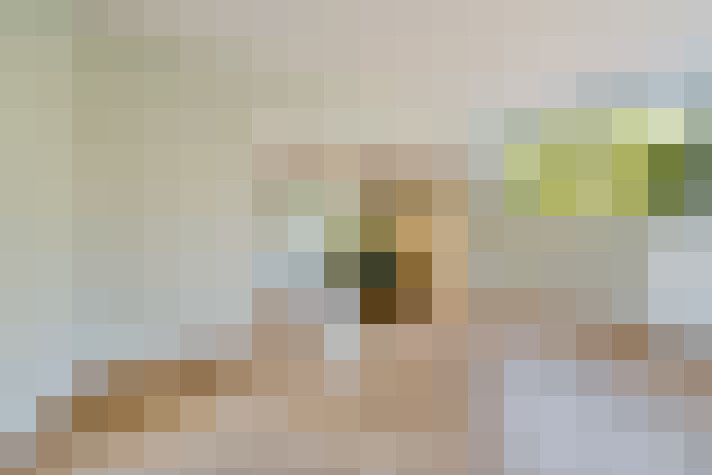 Image 18